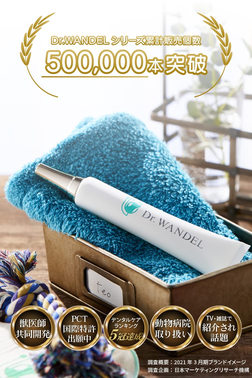 Dr. WANDL デンタルケアジェル 3本セット Dr.Dental wan 犬用歯磨きジェル 30g プレーン 3本セット